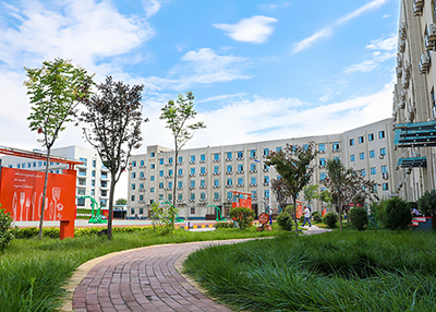 �¶������㵰���ѧ����