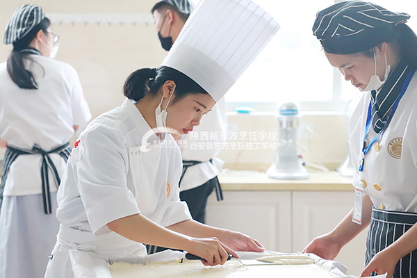 ��ѯ����