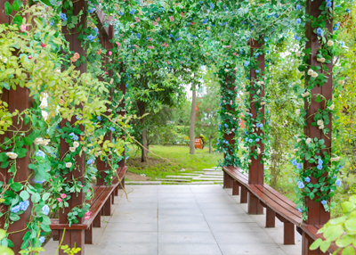 �¶�������決��ѧ����