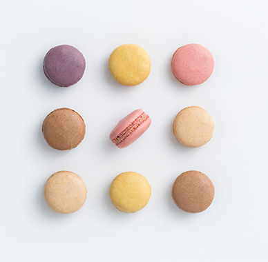 ��ʽ�����