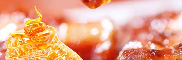 ����ѧ����,�����¶������ռ�����ѵ���տ�����.�Ｙ����.��Ƥ����.רҵ�Ĳ��մ�ҵ��ѵ