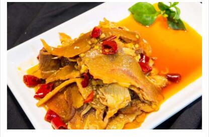 ����ѧ���޷�Ƭ,�����¶������޷�Ƭ��ѵ��,���ڷ��޷�Ƭ��ѵ,������ѵ