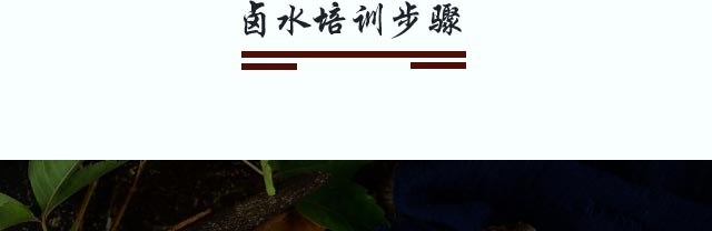 ±ˮ������ѵ,С����ѵ,ѧ±ˮ,±ˮ��ѵ,�¶���±ˮ��ѵ��