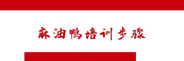 ����Ѽ,С����ѵ,����Ѽ��ѵ,�¶�������Ѽ��ѵ��,�¶���С����ѵ��