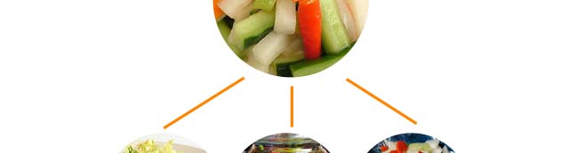 �ݲ�,�ݲ���ѵ,С����ѵ,����ѧ�ݲ�,�¶����ݲ���ѵ