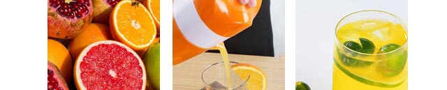 ����ѧ��֭����,������֭��ѵ,����ѧϰ��ե��֭.��һ��֭.��Ϲ�֭.��������.���̹�֭.������,�¶�����Ʒ��ѵ.��֭��ѵ