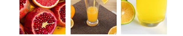 ����ѧ��֭����,������֭��ѵ,����ѧϰ��ե��֭.��һ��֭.��Ϲ�֭.��������.���̹�֭.������,�¶�����Ʒ��ѵ.��֭��ѵ