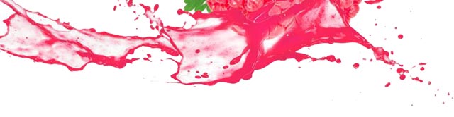 ����ѧ��֭����,������֭��ѵ,����ѧϰ��ե��֭.��һ��֭.��Ϲ�֭.��������.���̹�֭.������,�¶�����Ʒ��ѵ.��֭��ѵ