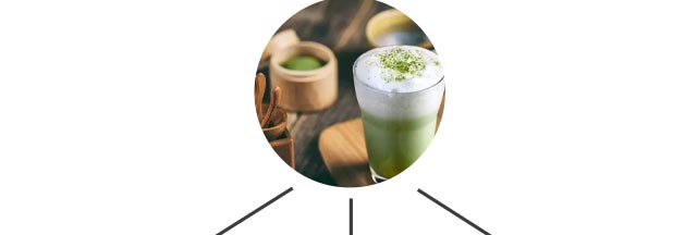 ����ѧ��������,����������ѵ,��������������������,ѧϰԭζ����.��ݮ����.���ܹ�����.â������.��������