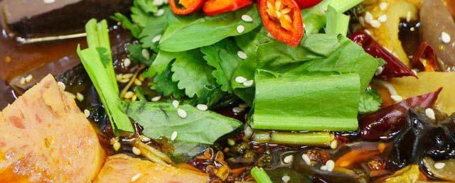 ����ѧţ���,����ţ�������ѵ,ѧϰ��ʽţ���.�����.�ʳ���.ţ�ӷ�.���ŷ�,רҵ��ţ�������ѵ��