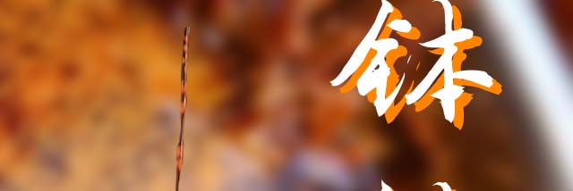 ������������ѵ,ѧ����������,��ɫС����ѵ��,�¶�����������ѵ