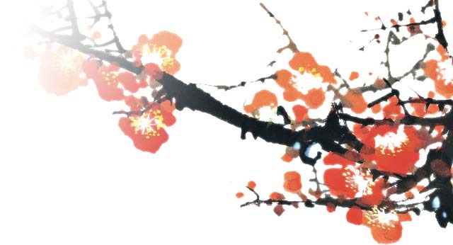 ����ѧ��Ƥ,��Ƥ��ѵ,�¶�����Ƥ��ѵ��,��Ƥ��ѵ,ߦ��Ƥ��ѵ