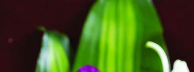 ��������ѵ,����ѧ������,�¶�����������ѵ��,�¶���С����ѵ