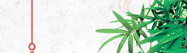 ����ѧɳ��С��,����ɳ��С����ѵ,����С����ѵ,�¶���С����ѵ