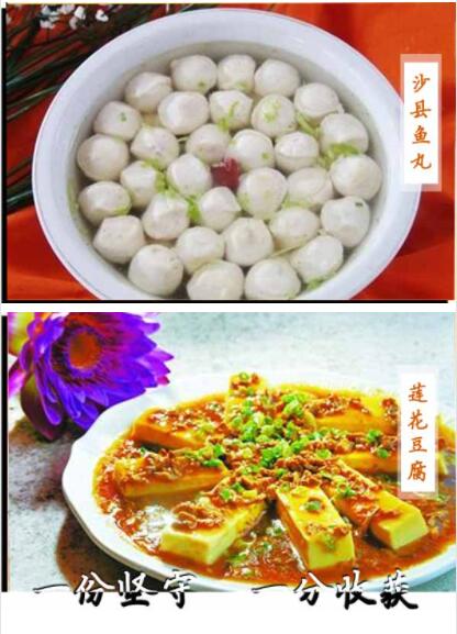 ����ѧɳ��С��,����ɳ��С����ѵ,����С����ѵ,�¶���С����ѵ