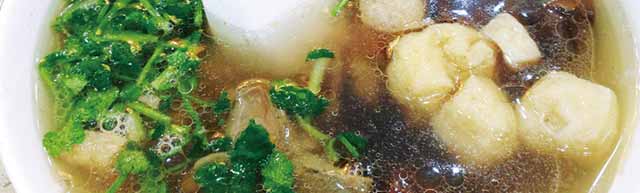 ѼѪ��˿����ѵ,����ѧѼѪ��˿��,�¶���ѼѪ��˿����ѵ��,�¶���С����ѵ