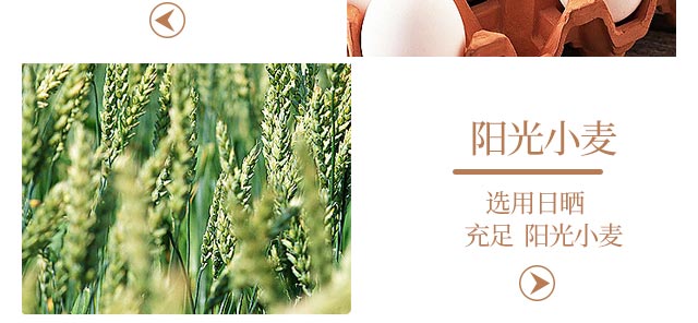 ����ѧϰ�������,���������ѵ��,ѧϰ�����\��˺���\��˾���\ëë���100����������Ʒ��