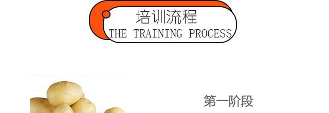 ѧ��������,����������ѵ,�¶�������������ѵ��,��������������������