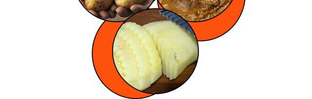 ѧ��������,����������ѵ,�¶�������������ѵ��,��������������������