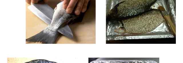 ����������ѵ,����ѧ���ڿ��㼼��,�¶���������ѵ��������쿾��.���ݿ���.��ʽ����