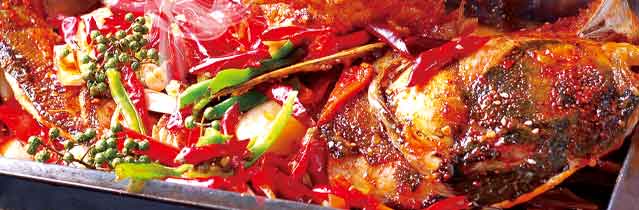 ����������ѵ,����ѧ���ڿ��㼼��,�¶���������ѵ��������쿾��.���ݿ���.��ʽ����