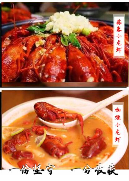 ����С��Ϻ��ѵ,����С��Ϻ��ѵ,ѧС��Ϻ����,С��Ϻ��ѵ��