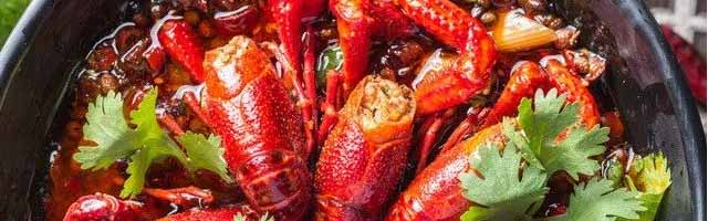 ����С��Ϻ��ѵ,����С��Ϻ��ѵ,ѧС��Ϻ����,С��Ϻ��ѵ��