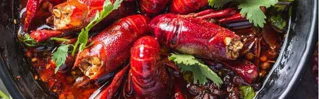 ����С��Ϻ��ѵ,����С��Ϻ��ѵ,ѧС��Ϻ����,С��Ϻ��ѵ��