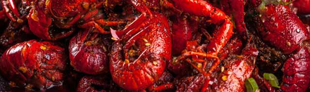 ����С��Ϻ��ѵ,����С��Ϻ��ѵ,ѧС��Ϻ����,С��Ϻ��ѵ��