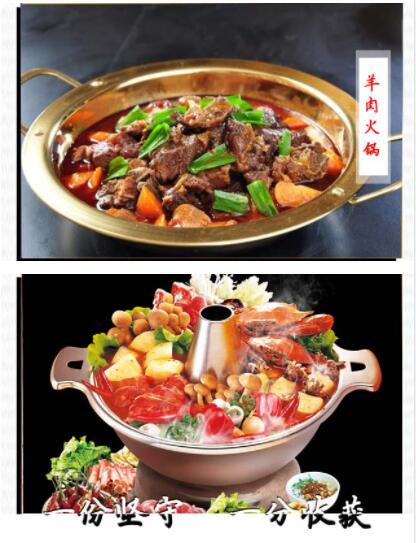 ����ѧ���,������������ѵ,רҵ��ѵ�������,�¶��������ѵ,�������������ѵ