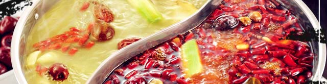 ����ѧ���,������������ѵ,רҵ��ѵ�������,�¶��������ѵ,�������������ѵ