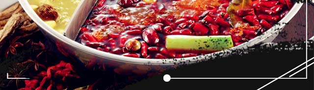 ����ѧ���,������������ѵ,רҵ��ѵ�������,�¶��������ѵ,�������������ѵ