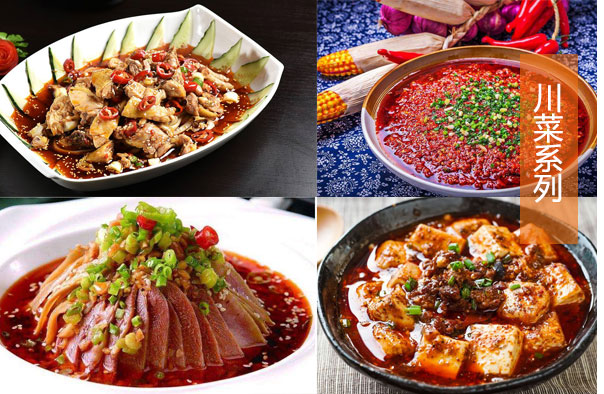 ����ѧ��ʦȥ�ĺ�,����ѧ����,��ʦ������ѵ,�����¶������ѧУ��רҵ�ĳ�ʦ��ѵ.���㵰����ѵ.���ͳ�ʦ��ѵѧУ