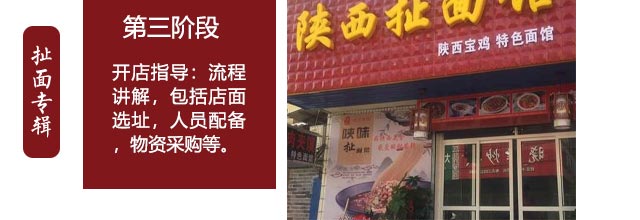 ����������ѵ,������ʳ��ѵ,�¶�����ʳ��ѵ��