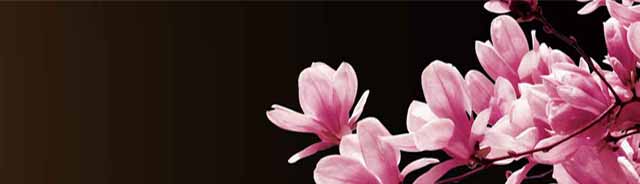 ����С����ѵ,����С������,��������С����ѵ�γ�,������ѵ����С��