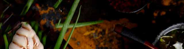 ����С����ѵ,����С������,��������С����ѵ�γ�,������ѵ����С��