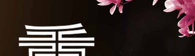 ����С����ѵ,����С������,��������С����ѵ�γ�,������ѵ����С��