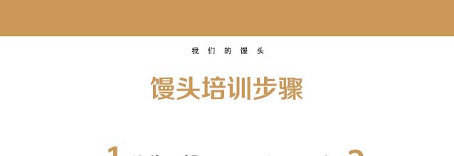 ѧ��ͷ����,��ͷ��ѵ,�����ѵ,�¶�����������ѵ��