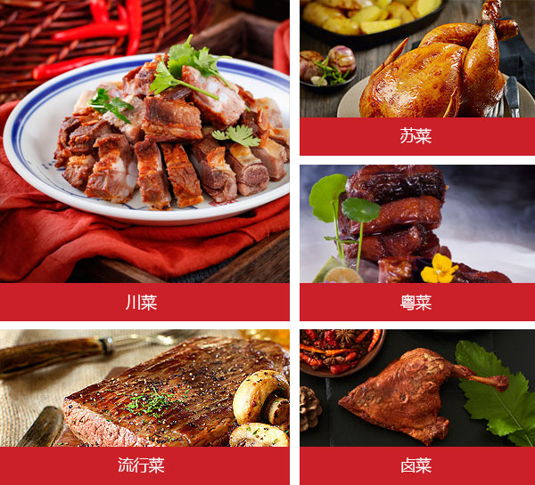 ����ܳ�רҵ����